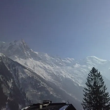 Appartement Aiguilles De Brevent 公寓 霞慕尼